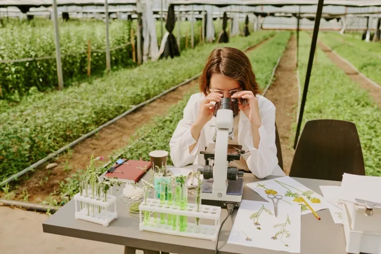 Otkrivena začuđujuća strategija biljaka: 'Promijenit će način proizvodnje lijekova'