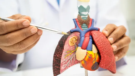 WHO upozorava: 'Ove vrste karcinoma moguće je spriječiti samo promjenom navika'