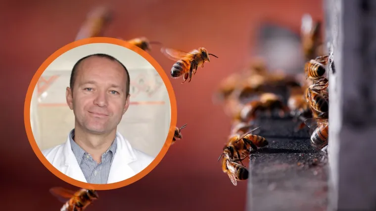 Med otkriva istinu koju ne želimo čuti: Hormoni, pesticidi, GMO i kako zavr&scaron;avaju na na&scaron;em tanjuru