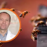 Med otkriva istinu koju ne želimo čuti: Hormoni, pesticidi, GMO i kako zavr&scaron;avaju na na&scaron;em tanjuru