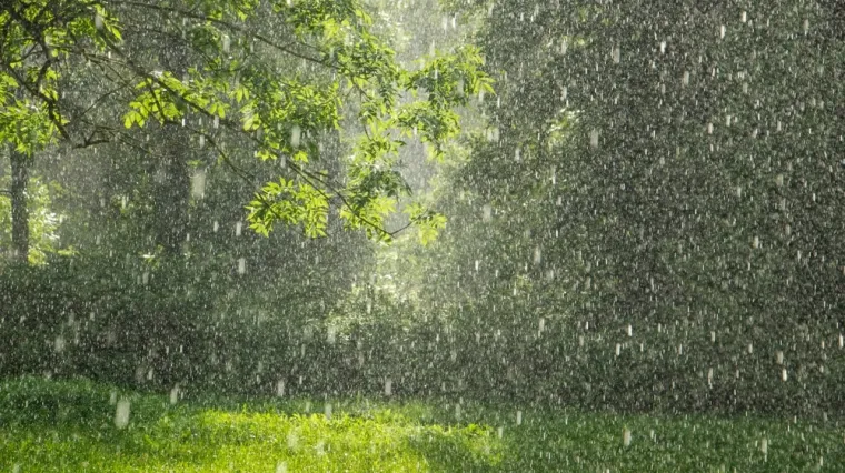 [KVIZ] Zna&scaron; li ba&scaron; sve o padalinama?