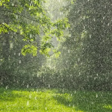 [KVIZ] Zna&scaron; li ba&scaron; sve o padalinama?