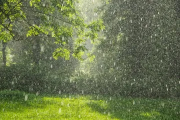 [KVIZ] Zna&scaron; li ba&scaron; sve o padalinama?