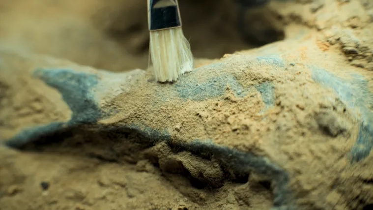 Otkrivena nova čudna vrsta dinosaura: 'To otključava veliko poglavlje koje nedostaje'