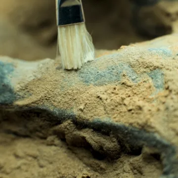 Otkrivena nova čudna vrsta dinosaura: 'To otključava veliko poglavlje koje nedostaje'