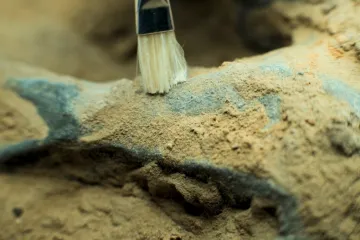 Otkrivena nova čudna vrsta dinosaura: 'To otključava veliko poglavlje koje nedostaje'