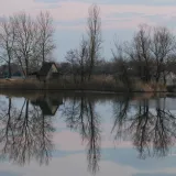 U Podravini se pojavio opasan virus: Zbog visokog rizika potrebno je provesti ove mjere