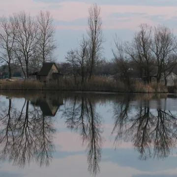 U Podravini se pojavio opasan virus: Zbog visokog rizika potrebno je provesti ove mjere