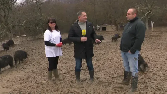 Tomislav i Kristina kod Kutjeva pokrenuli posao iz snova, za par godina stekli pravo bogatstvo