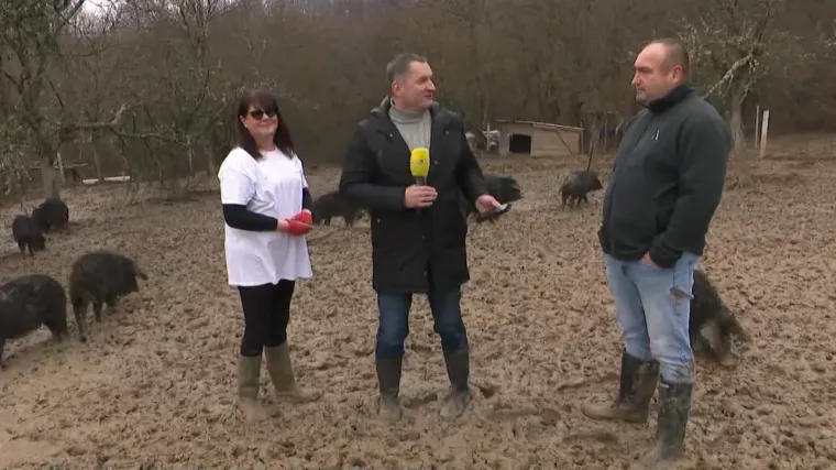 Tomislav i Kristina kod Kutjeva pokrenuli posao iz snova, za par godina stekli pravo bogatstvo