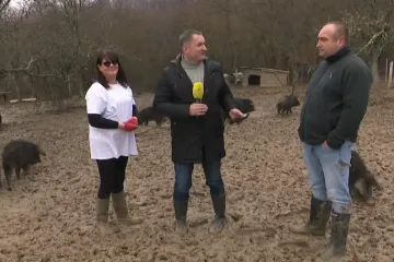 Tomislav i Kristina kod Kutjeva pokrenuli posao iz snova, za par godina stekli pravo bogatstvo