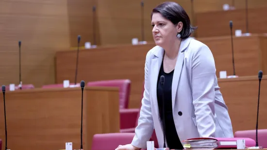 SDP: 'Izmjene zakona ne osiguravaju kvalitetu'; HDZ: 'Donose stabilnost sustava!'