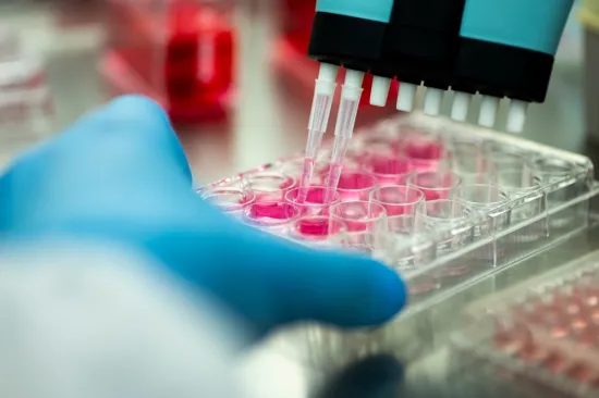 Rak pod povećalom: Znanstvenici mapirali mutacije odgovorne za napredovanje bolesti