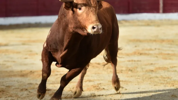[KVIZ] Svi moraju prepoznati barem četiri životinje s rogovima