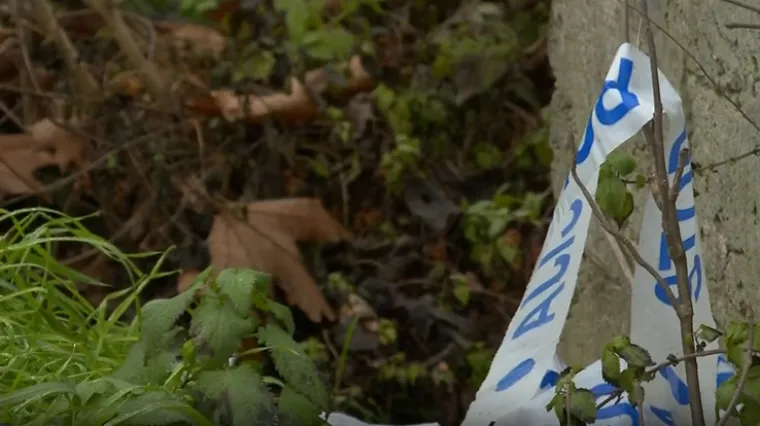 Osobe s nadzorne kamere nisu odgovorne za napu&scaron;tanje životinja niti za njihovu smrt