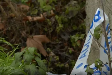 Osobe s nadzorne kamere nisu odgovorne za napu&scaron;tanje životinja niti za njihovu smrt