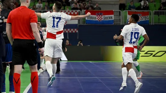 GOOOL! Ljudi moji, okrenuli smo Francuze! Ludnica je u Stožicama