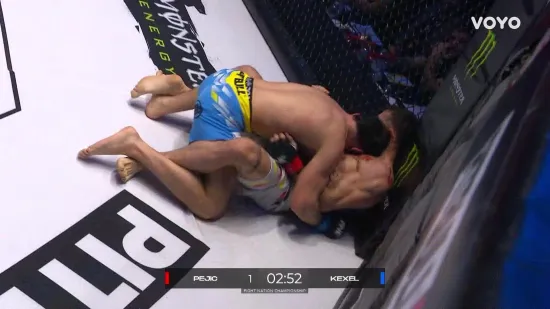 Nevjerojatne scene: 'Dinamo Zagreb' orilo se u M&uuml;nchenu, Nitru nije pomoglo