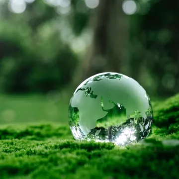 [KVIZ] Jesi li pravi stručnjak koji zna ba&scaron; sve činjenice o prirodi?