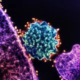 Opasni smrtonosni virus dignuo uzbunu, uvode se COVID mjere: 'Ovo će biti sljedeća pandemija'