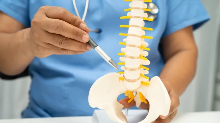 [KVIZ] Jesi li stručnjak za kosti čovjeka?