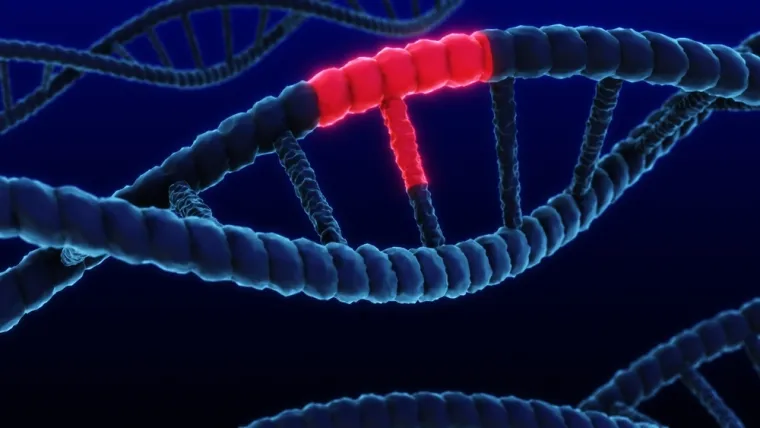 Prisutni su sve do danas: Znanstvenici prona&scaron;li gene starije od prvog zajedničkog pretka
