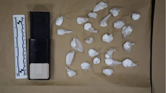 Kilogram kokaina, pi&scaron;tolj i digitalne vage: Pazite &scaron;to je sve ovaj Zagrepčanin imao u stanu