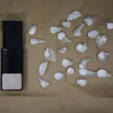 Kilogram kokaina, pi&scaron;tolj i digitalne vage: Pazite &scaron;to je sve ovaj Zagrepčanin imao u stanu