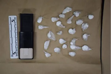 Kilogram kokaina, pi&scaron;tolj i digitalne vage: Pazite &scaron;to je sve ovaj Zagrepčanin imao u stanu