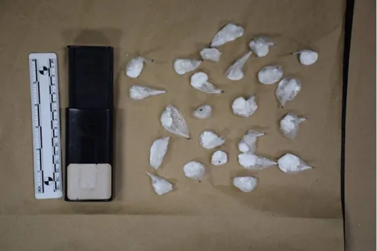 Kilogram kokaina, pi&scaron;tolj i digitalne vage: Pazite &scaron;to je sve ovaj Zagrepčanin imao u stanu