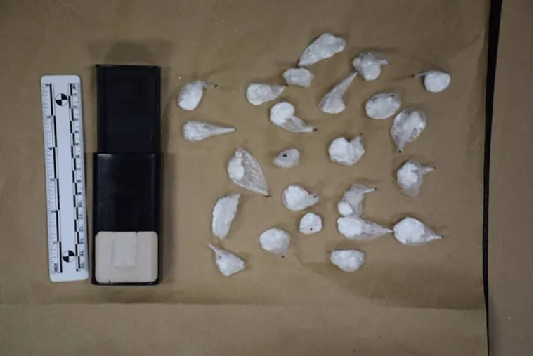 Kilogram kokaina, pi&scaron;tolj i digitalne vage: Pazite &scaron;to je sve ovaj Zagrepčanin imao u stanu