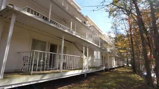 Jedan uru&scaron;en i napu&scaron;ten, drugi odi&scaron;e romantičnom idilom: Evo koja tajna se krije iza ovih blizanaca