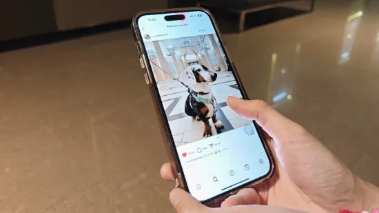 Zbog objave na Instagramu je ostala bez gotovo 30 tisuća eura! A nije ba&scaron; ni&scaron;ta krivo napravila