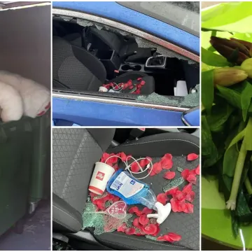 Planirali su savr&scaron;eno Valentinovo, a zavr&scaron;ilo im je katastrofom: Nevjerojatno &scaron;to im se dogodilo