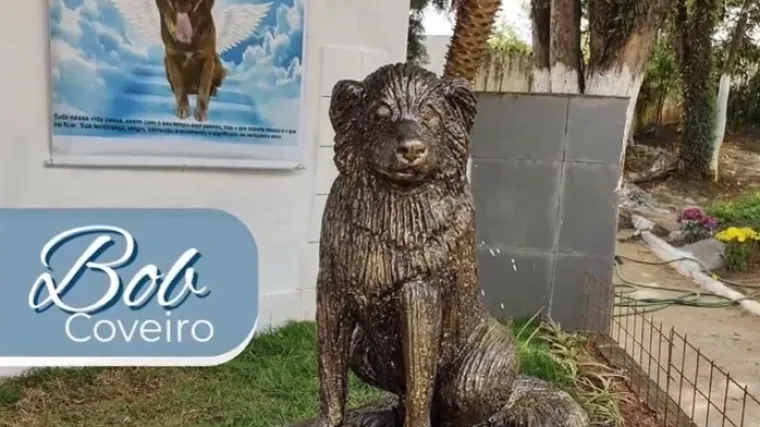 Pas Bob Coveiro je 10 godina živio uz grob vlasnika: Zbog njega je donesen novi zakon