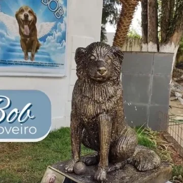 Pas Bob Coveiro je 10 godina živio uz grob vlasnika: Zbog njega je donesen novi zakon