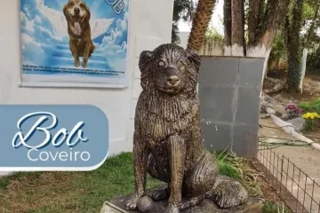 Pas Bob Coveiro je 10 godina živio uz grob vlasnika: Zbog njega je donesen novi zakon