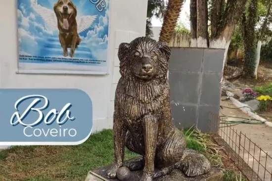 Pas Bob Coveiro je 10 godina živio uz grob vlasnika: Zbog njega je donesen novi zakon