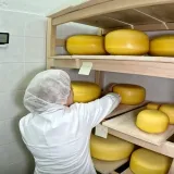 Učenici u Križevcima sami proizvode sir, a imaju i 60 krava: 'Praktična nastava je praktična nastava'