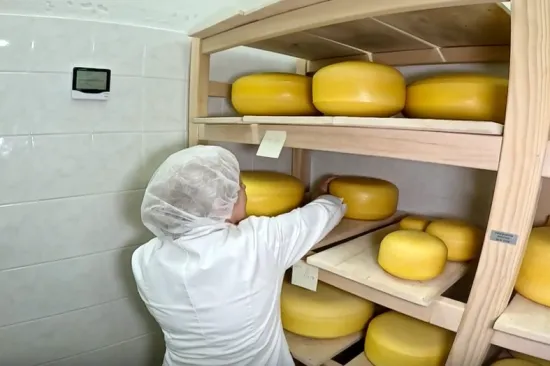 Učenici u Križevcima sami proizvode sir, a imaju i 60 krava: 'Praktična nastava je praktična nastava'