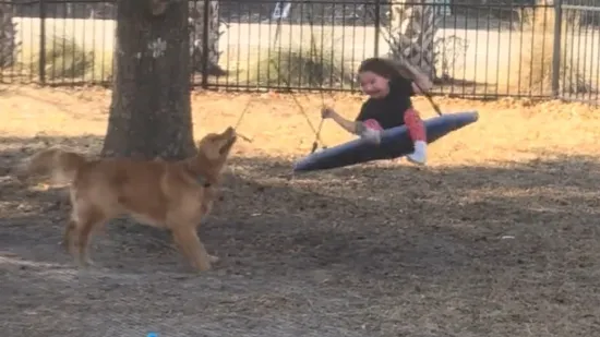 Najslađi prijatelji koje ćete danas vidjeti
