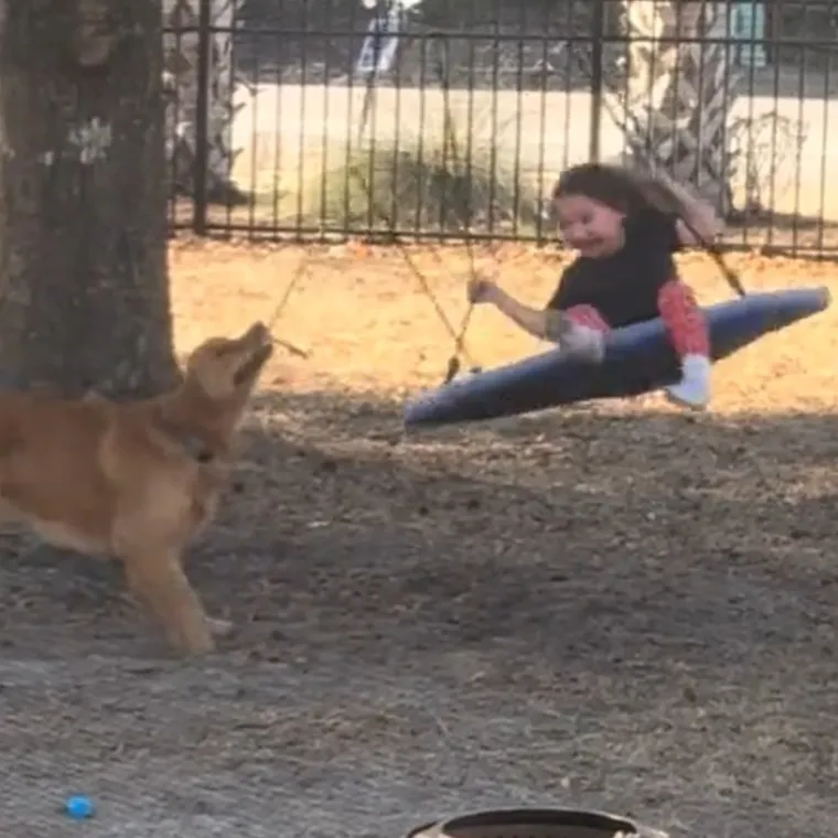 Najslađi prijatelji koje ćete danas vidjeti