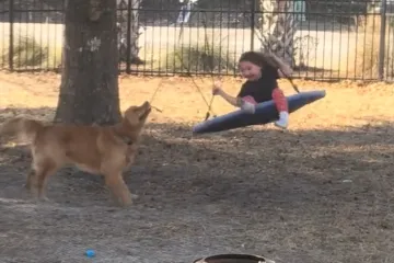 Najslađi prijatelji koje ćete danas vidjeti