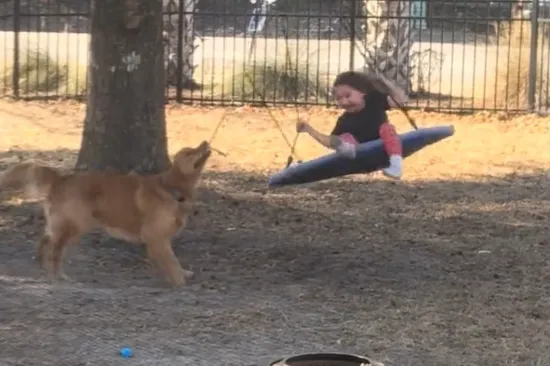 Najslađi prijatelji koje ćete danas vidjeti
