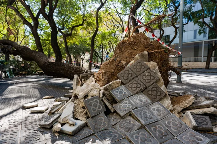 Oluja poharala dvije zemlje, zatvorene &scaron;kole, tisuće evakuirano: Poginula jedna osoba, 86 ozlijeđenih