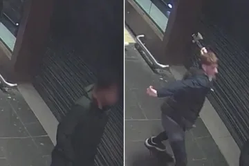 Snimljen brutalni napad sjekirom na studenta: Sve je počelo vrijeđanjem