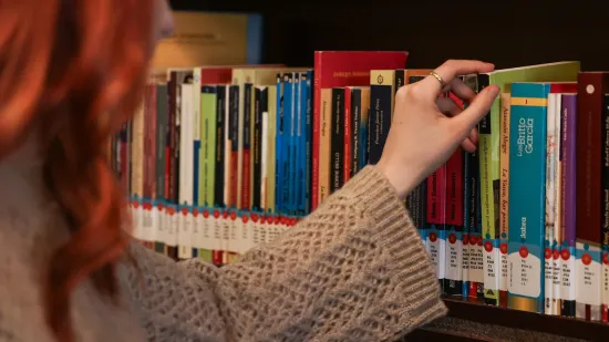 Dominantni &scaron;efovi, lo&scaron;i dečki, kauboji, mafija&scaron;i: Nećete vjerovati kakvi romani 'pale' Hrvate