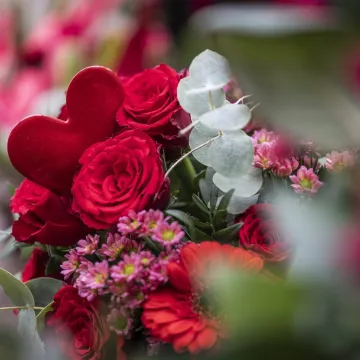 Hrvate zaprepastila cijena buketa za Valentinovo: 'Alo, jeste li vi normalni?'