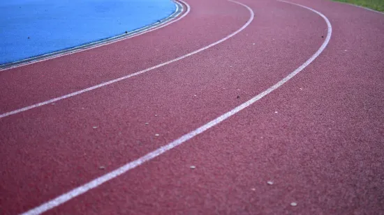 Sru&scaron;en svjetski rekord u sprintu?