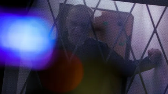 &Scaron;to je epibatidin kojim je ubijen Navaljni? Uzrokuje paralizu, ljudi umiru u ogromnim mukama